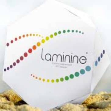 Laminine